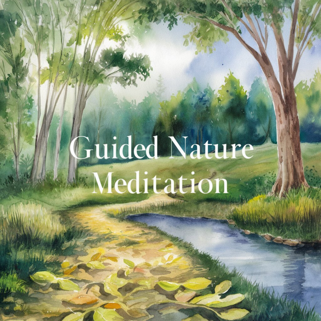 Nature Meditation 1